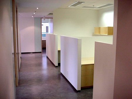 In Sync Consumer Insight — Phase 2 — Photo 3